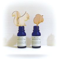 フレーバーライフ社 アロマスティック リスとどんぐり 29066 1セット（木製スティック2種類×各1個×5個）（直送品）