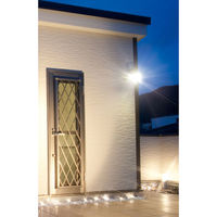 アイリスオーヤマ 乾電池式 LED防犯センサーライト LSL-B3SN-100D（270240）（直送品）