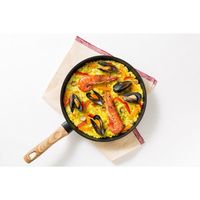 アイリスオーヤマ スキレットコートパン IH用 SKL-28IH(520909) 1個