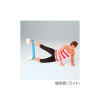 エバニュー リングバンド ライト ETA138 1枚 63-2973-84（直送品）