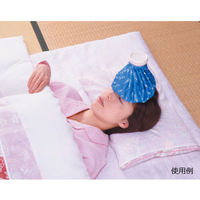 富士商 ハンディ氷のう 大サイズ F2057 1個 63-3000-31（直送品）