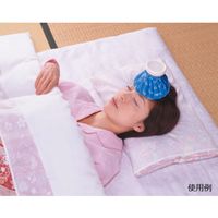 富士商 ハンディ氷のう 小サイズ F1210 1個 63-3000-32（直送品）