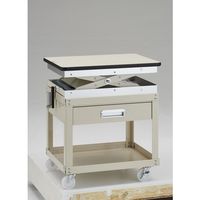 トラスコ中山 TRUSCO ローハイシステム リフター スクリュー式 450X600 ワゴン仕様 LH-700MC 1台 137-2364（直送品）