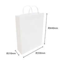 エヒメ紙工 ラミネートバッグ大 白 PPL-WH 1セット(10個)