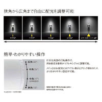 パナソニック TOLSOシリーズ LEDスポットライト NTS01001BLE1 1個