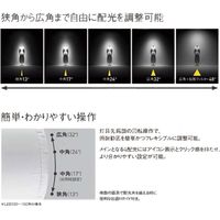 パナソニック TOLSOシリーズ LEDスポットライト NTS01001WLE1 1個