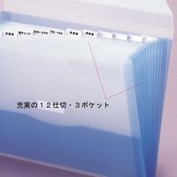 リヒトラブ ドキュメントファイル A4 13ポケット ホワイト G5610-0 2冊