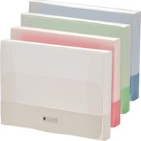 リヒトラブ クラッチケース A4 イエローグリーン G5900-6 1セット(2冊)