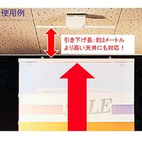 アルファ イージーポッパー 350g RN8-0001A（直送品）