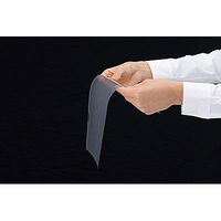 アスクル クリアーホルダー A4 1袋(100枚) 超薄型 ファイル オリジナル（わけあり品）