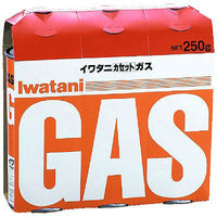 イワタニ カセットガス オレンジ CB-250-OR 1パック（3本入）（わけあり品）