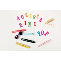 ローネジャパン アゲツヤポータブルミニアイロン アクアミント HS100-2AM（直送品）