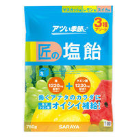 暑さ対策 塩分補給 塩分対策  匠の塩飴 3種アソート 1セット（1個×3）