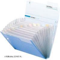 キングジム ルーセント　ドキュメントファイル 13P A4（Lタイプ） 赤 2278アカ 1冊（直送品）