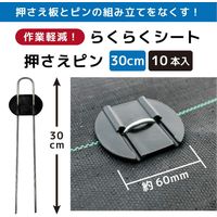 第一ビニール らくらくシート押えピン 30cm 50本 4968438023472 1セット(6パック)