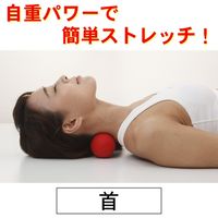 アルファックス ツボール 704102 1セット(3個)（直送品）