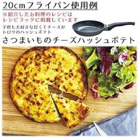 富士ホーロー ウエストファリア　20cm　フライパン 2個（直送品）