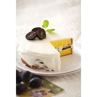 富士ホーロー サークルケーキ型（フッ素樹脂加工）　18cm 55002 5個（直送品）