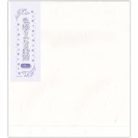 菅公工業 色紙用封筒 飛天紙 白 2枚入 フ661 1セット(5束)（直送品）