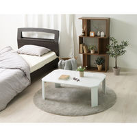 不二貿易 ルーチェ UVローテーブル 幅900×奥行600×高さ320mm ホワイト 12847 1台（直送品）