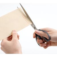 レイメイ藤井 ステンレスハサミ ロングタイプ SH105 1セット(5個)