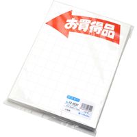 ササガワ POP用紙 大 お買得品 12-2937 1冊 (100枚袋入)