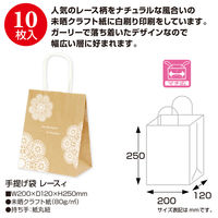 ササガワ 手提げバッグ 10Pレースィ 小 50-6412 1包 (10枚袋入)