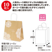ササガワ 手提げバッグ レースィ 中 50-6612 1包 (10枚袋入)