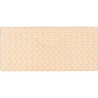 ササガワ 商品券箱 横型のし付 折込式無字 9-355 1箱 【100枚箱入】