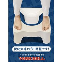 シービージャパン 踏み台 足置き 耐荷重100kg トイレ トレーニング サポート 4573306862758-2 1セット(1個×2)