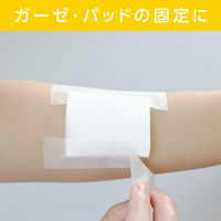 共和 サージカルテープNo.50 LM-E0509T 1箱（6巻入）