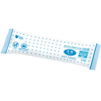 からだふき　ウェットタオルオオサキメディカル からだふきぬれタオル 00072000 1セット（30個入×12パック）