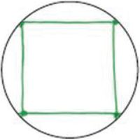 ダイオ化成 緑のカーテンネット ミドリノカ-テンネツト 1.8MX3M 1セット(40本)（直送品）