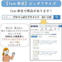 【1cm単位】プロ仕様「つっぱりブラインド」幅148cm×高170cm＜遮熱・耐水＞ ctb835T-148x170r68 1セット トーソー（直送品）