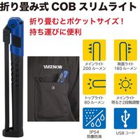 TAKENOW 折り畳み式COBスリムライト WL3110 1個