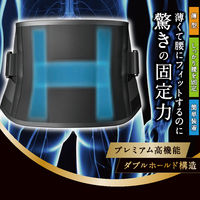 アイリスオーヤマ 理学療法士設計サポーター腰用M ISK-M 1個（直送品）