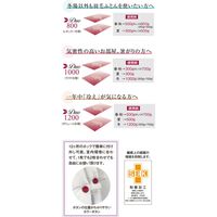 西川 グッドナイトプラス羽毛合掛けふとん　700g　1344-05364　140×190cm 1枚　介援隊カタログ（直送品）