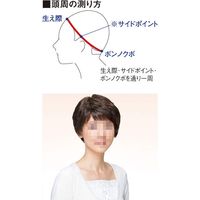 フェザー 医療用ウィッグ　フィットミー　MWー1S　1B_自然色 1台　介援隊カタログ M0321（直送品）