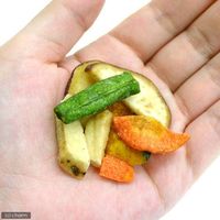 マルカン 小動物の野菜ミックス PRO 2250000232095 1セット（直送品）