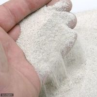 スドー 砂浴びのすな 2250000280409 1個（直送品）