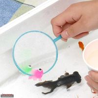 リーフ 金魚すくいポイ５．５号　２００枚セット　お祭り　縁日 2250000282052 １セット（直送品）