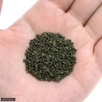 AQUA工房いちなま 極肉 小粒 きわみにく ボトル 2250000614976 1個（直送品）