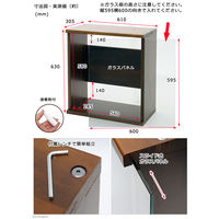 リーフ キャビネット 6030 ブラウン 透明ガラスパネル 2250001019985 1個（直送品）