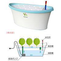 協和 ホームハイポニカ KAREN ブルー 水耕栽培キット 家庭菜園 2250001085225 1個（直送品）