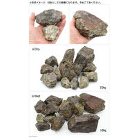 形状お任せ 風山石 サイズミックス(約5~20cm) 2250001124702 1個（直送品）