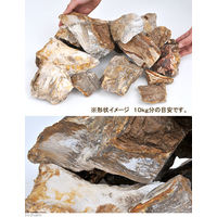 形状お任せ 木化石 サイズミックス 2250001156567 1個（直送品）