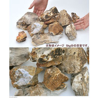 形状お任せ 木化石 サイズミックス 2250001156673 1個（直送品）