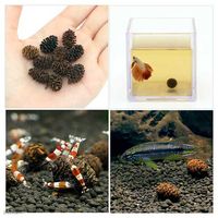 チャーム やしゃぶしの実 20個 ベタ ビーシュリンプ 2250001465430 1個（直送品）