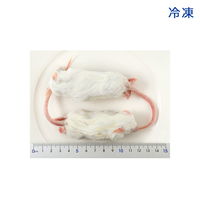 月夜野ファーム 冷凍★アダルトマウスＬＬ（１０匹） 月夜野ファーム 冷凍マウス 170343 1個（直送品）