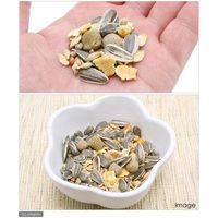 ペッズイシバシ クオリス ハムスターミックス オリジナルブレンド ６００ｇ×５袋 172591（直送品）